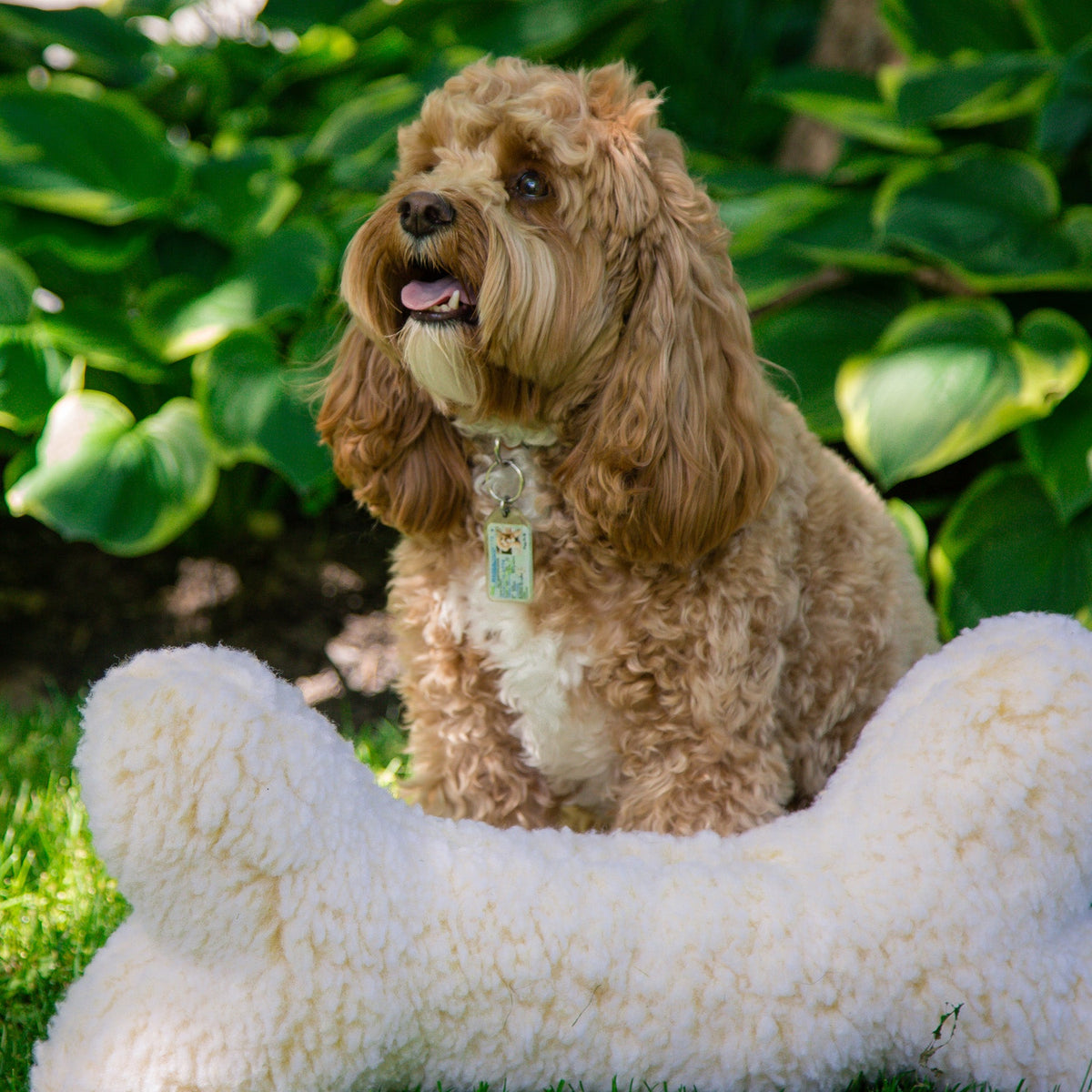 HuggleFleece® 2' Plush Bone Dog Toy