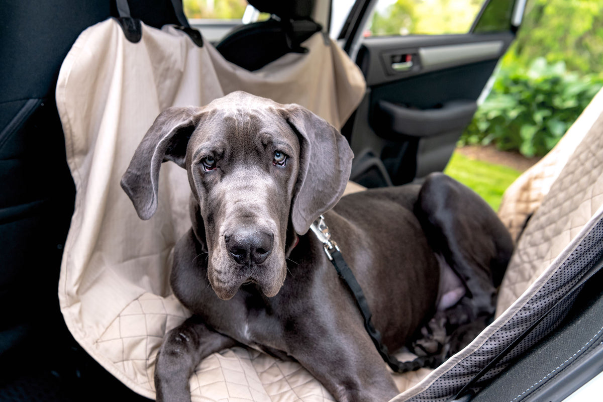 TuffutLuxx® Vehicle Protectors for Travel