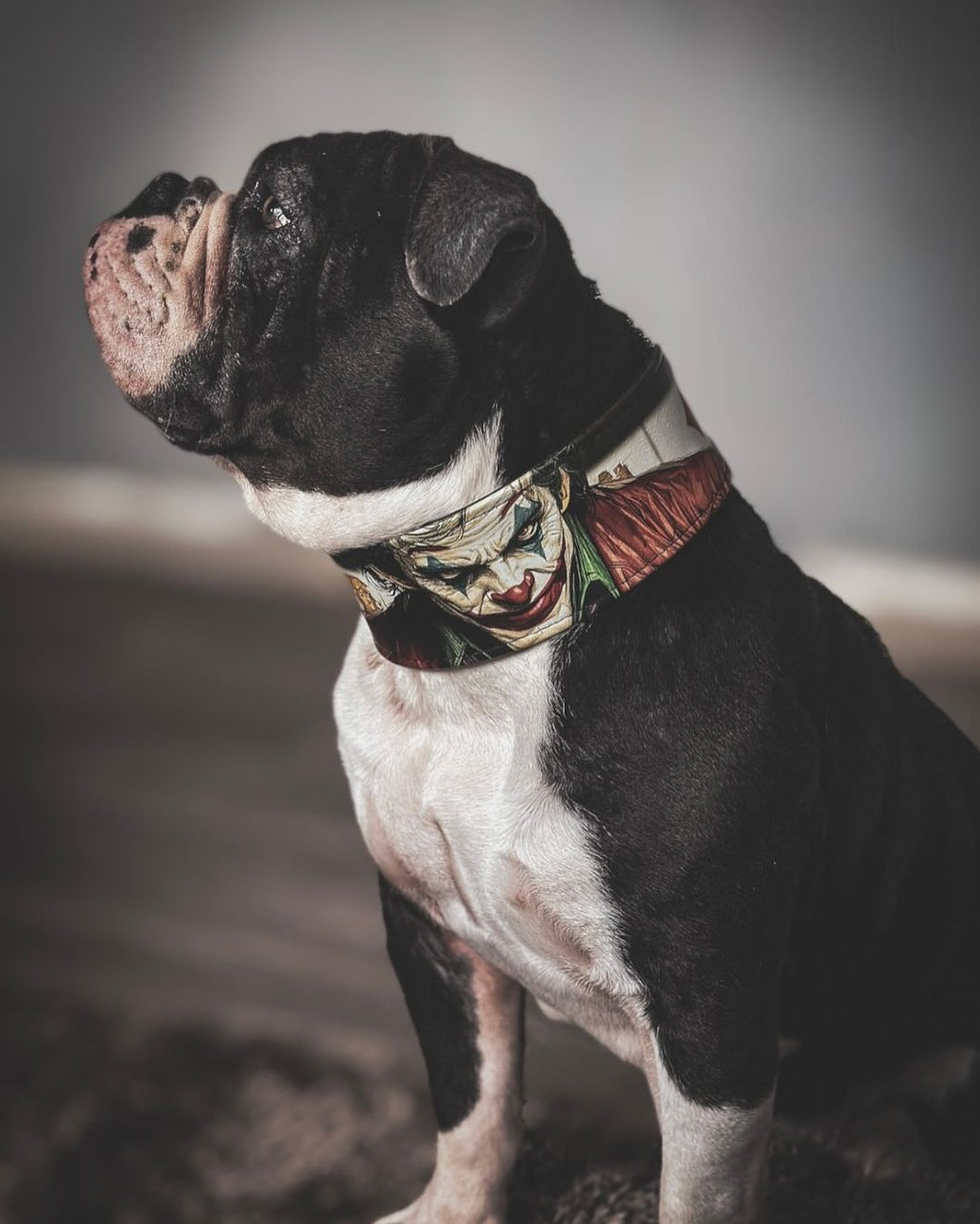 The JK Limited Collar