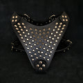 The "Gladiator" harness