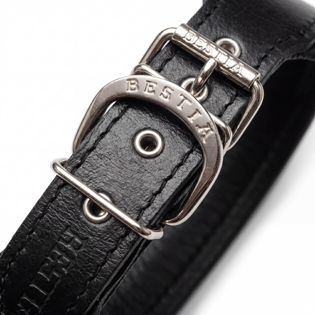 "Stylish" 2 inch wide dog collar